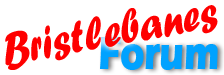 Bristlebanes Forum Bristlebanes Forum